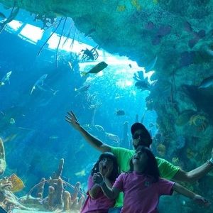 Meet your Posher, Frank